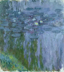 Waterlilies, 1916-19